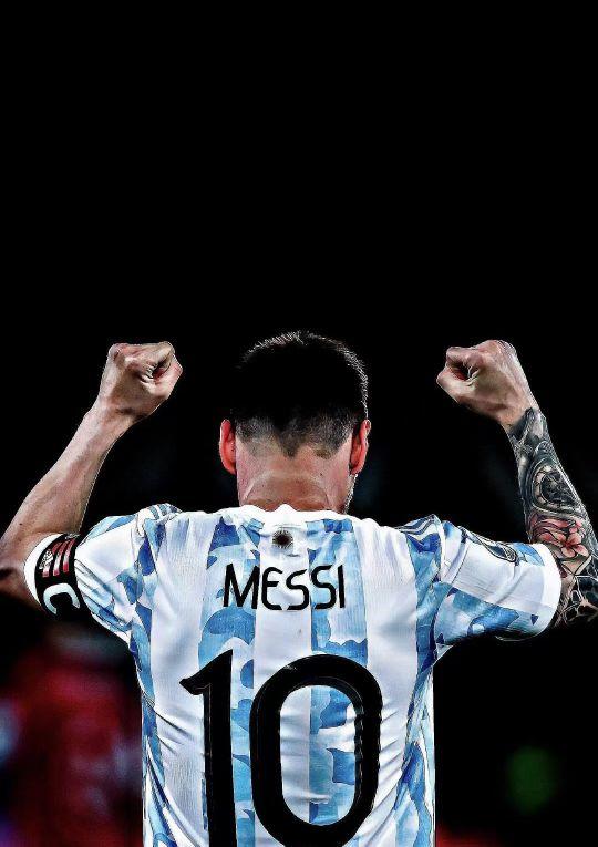 也凸显了 也凸显了